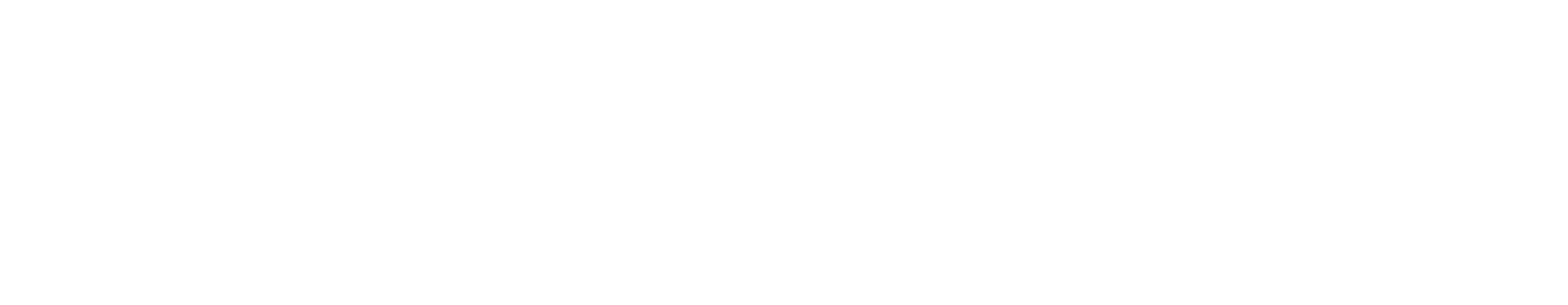 Niccos GmbH Logo Weiss - Shopify Plus Agentur