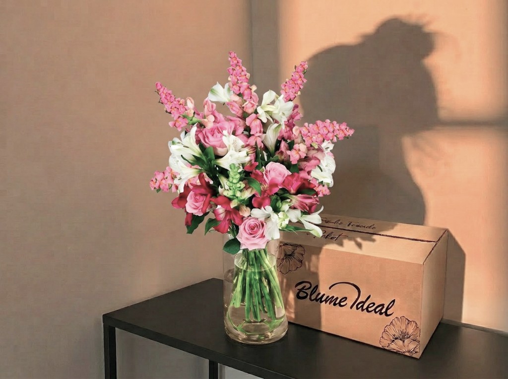 BLUMEIDEAL - Shopify Plus Case Study