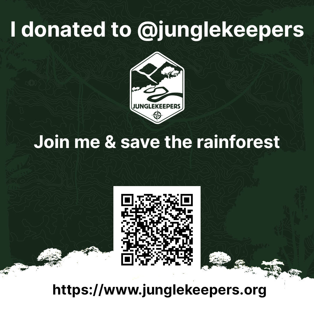 Junglekeepers-Spendergrafik mit Logo, Aufruf zum Regenwaldschutz und QR-Code zur Website