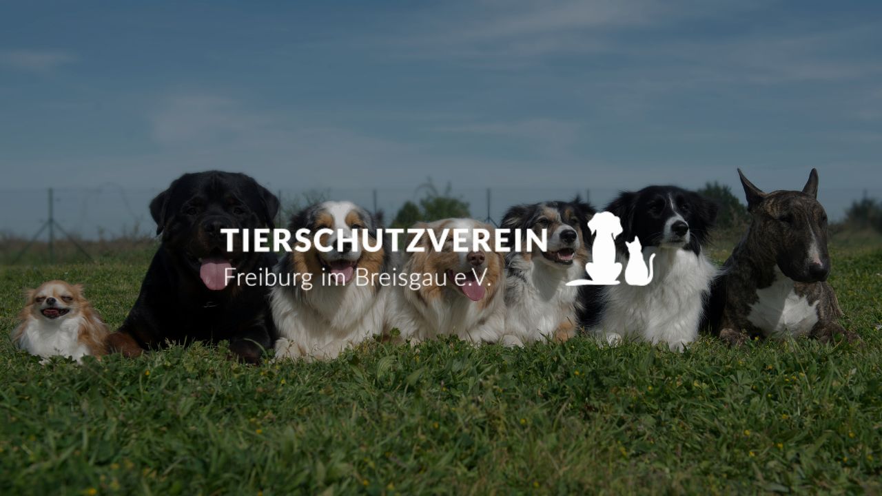Tierschutzverein Freiburg