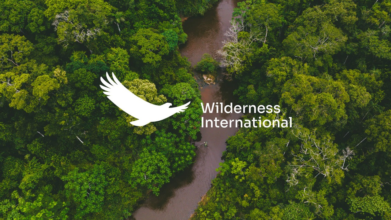 Wilderness International - Regenwaldschutz