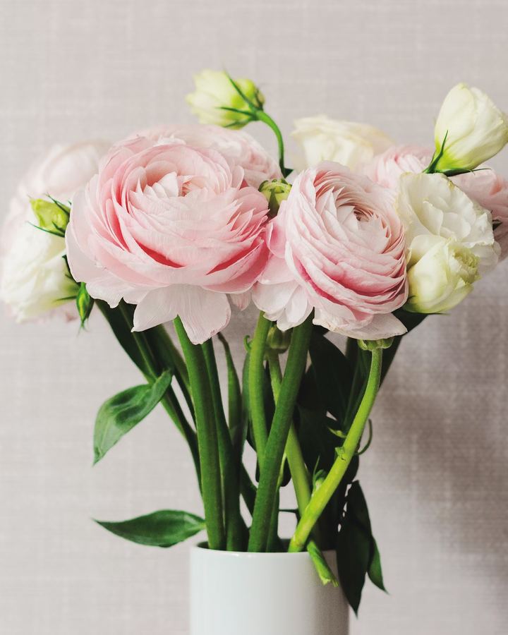 Rosa Ranunkeln und Eustoma in einer weißen Vase vor Leinenwand