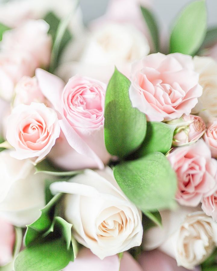 Rosa und weiße Rosen im Strauß, Nahaufnahme