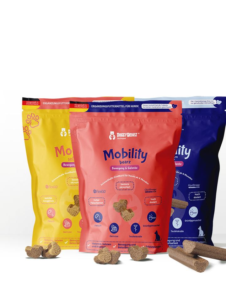 Drei DoggyBearz-Snackbeutel mit Kaustangen als Freisteller