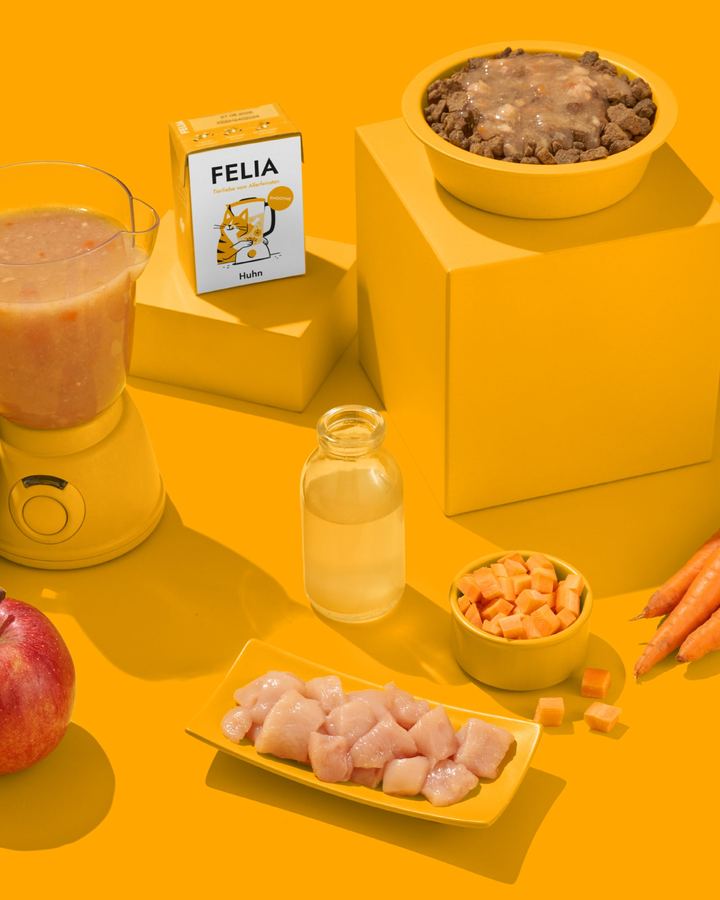 Felia-Smoothie mit Mixer, Napf, Huhn, Apfel und Karotten auf gelbem Set