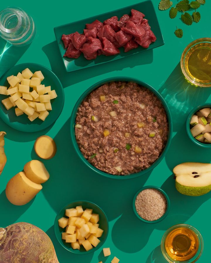Flatlay mit Nassfutter-Napf, Wildfleisch, Kartoffeln und Birne auf Grün