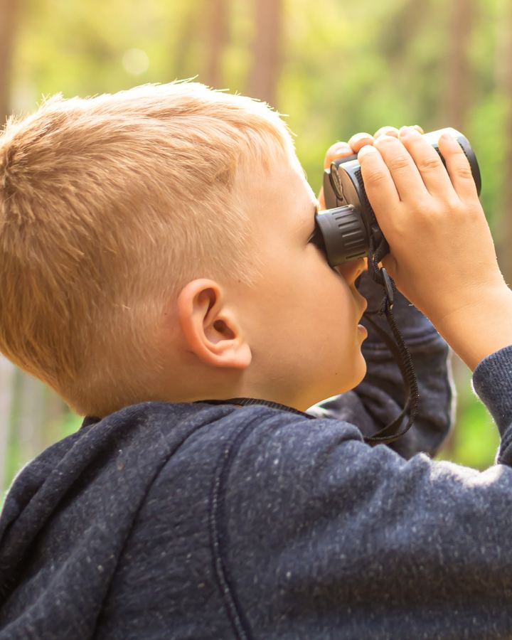 Junge schaut im Wald durch ein Fernglas